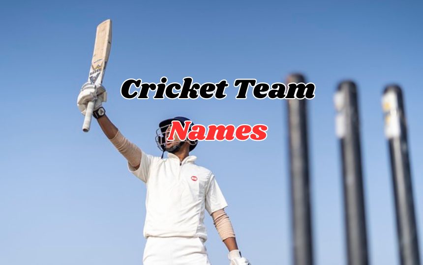 501 Funny Cricket Team Names In Hindi 